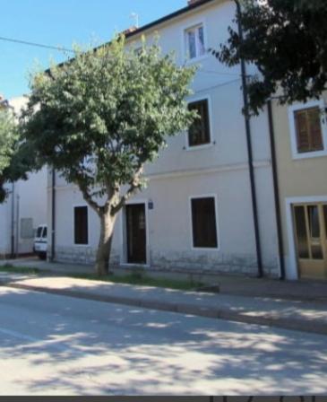 Pet Friendly Apartment Murvi 50 Novigrad Istria Exterior foto